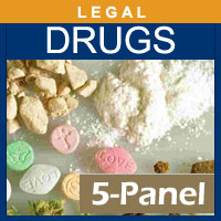 Alcohol and Drug Testing Services 5 Panel Hair Drug Testing for 1 segment - Legal Purposes